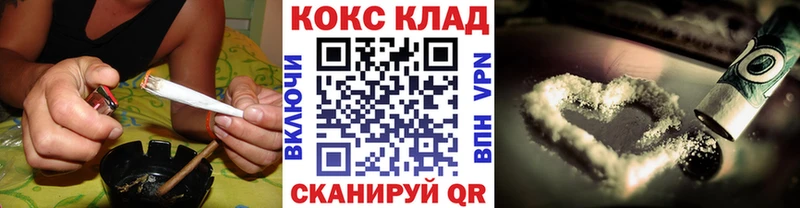 Кокаин FishScale  площадка как зайти  Елизаветинская  где найти наркотики 