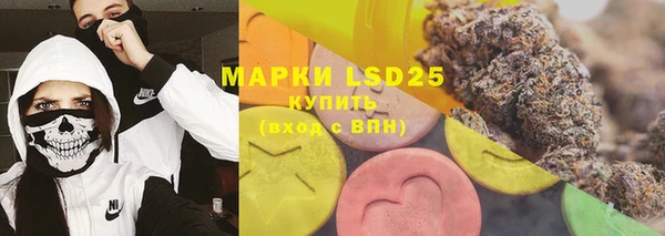 прущие грибы Абдулино