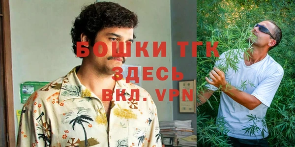 прущие грибы Абдулино