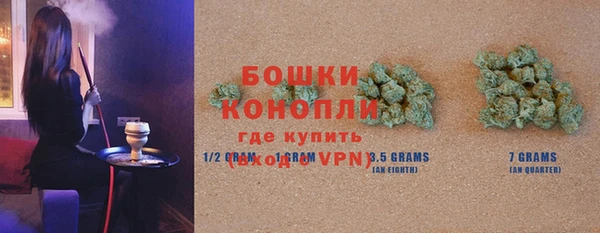 прущие грибы Абдулино